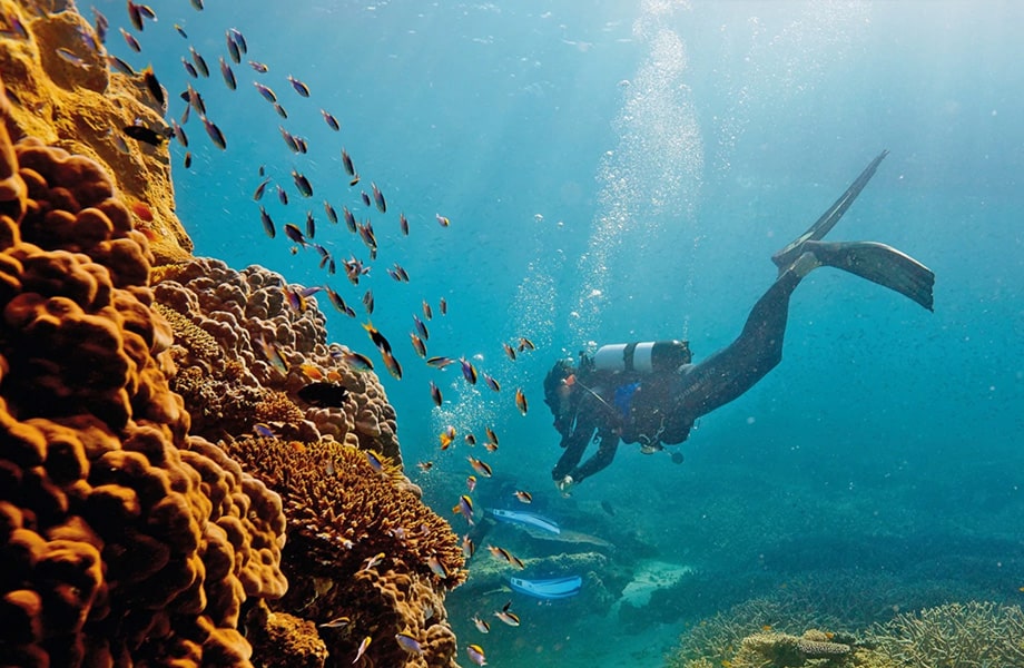 世界最大のサンゴ礁が見られる「グレートバリアリーフ」